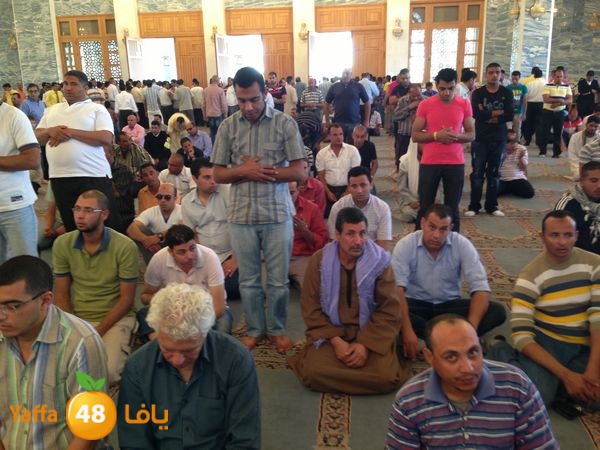 sharmelskhe7 (40).JPG